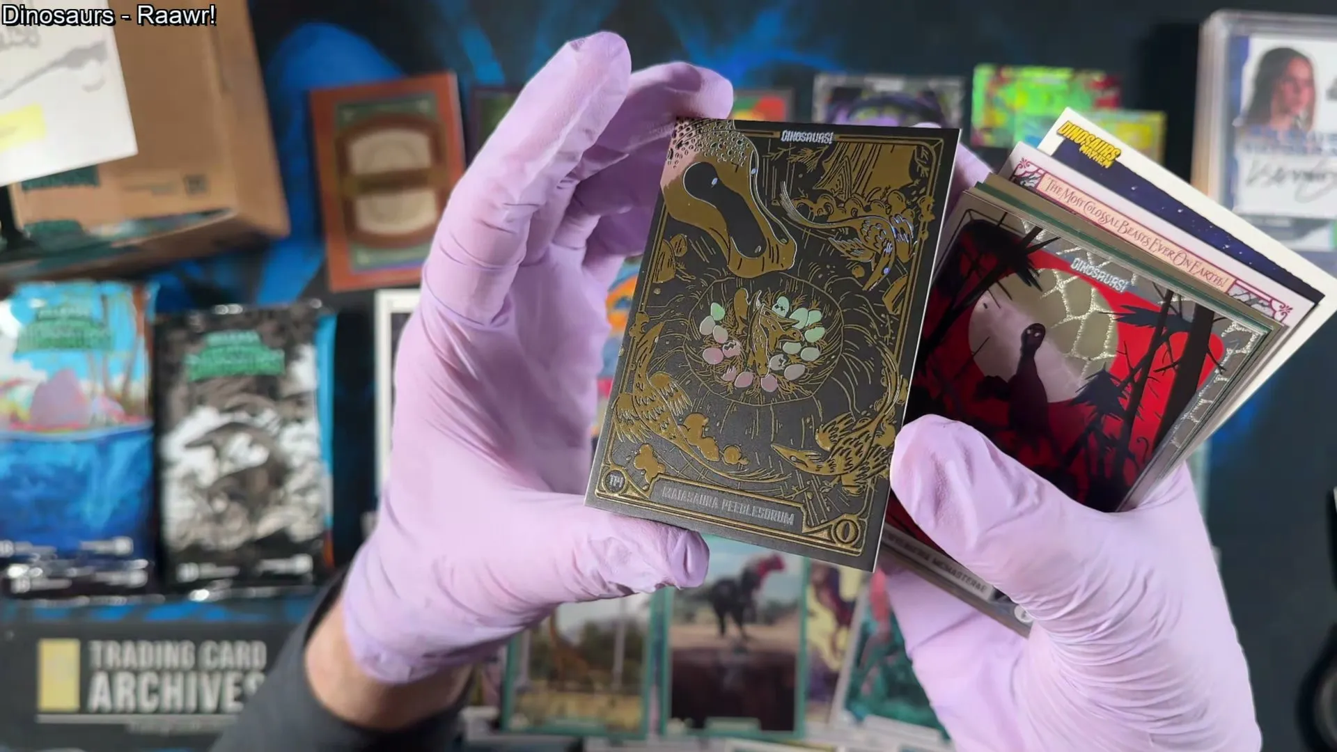 A Tier S black and gold Maiasaura card printed in metallic gold ink with rainbow holo