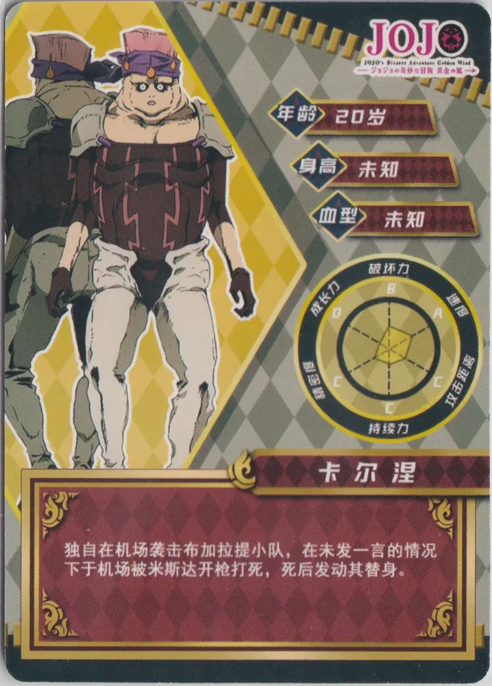 Carne: JJ-SR-008 view 2
