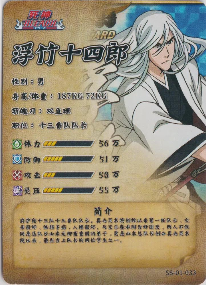 Bleach GR: SS-01-033 view 2