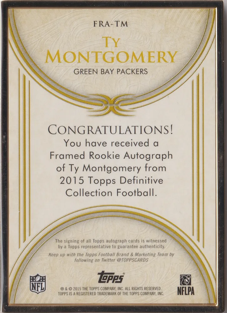 Definitive Football 2015, Ty Montgomery: FRA-TM view 2