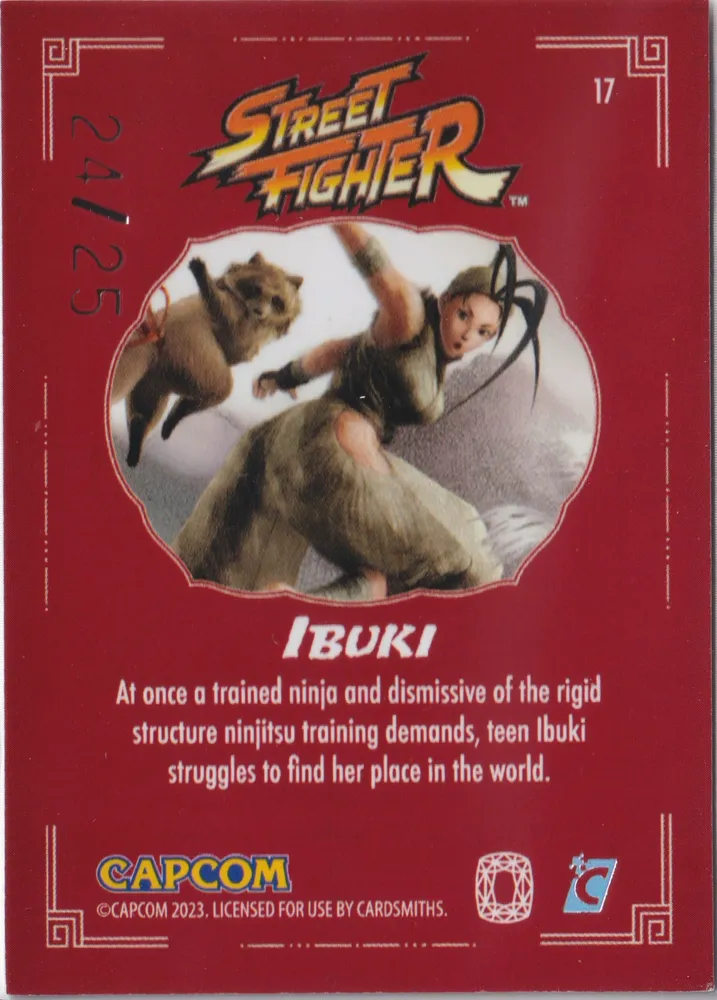 Street Fighter: SF-17RG view 2