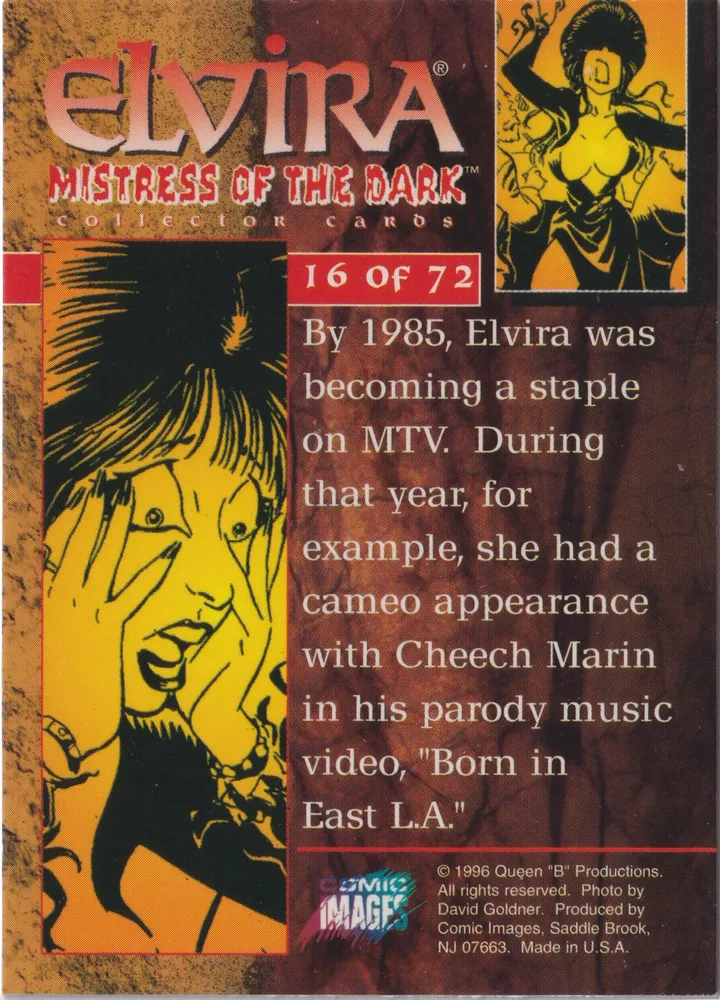 Elvira 16 of 72, Mistress of the Dark, Comic Images view 2