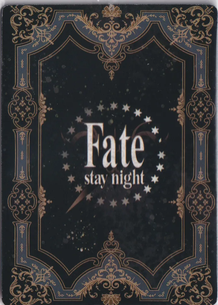 Fate:Stay/Night - FT-PR-Merlin view 2