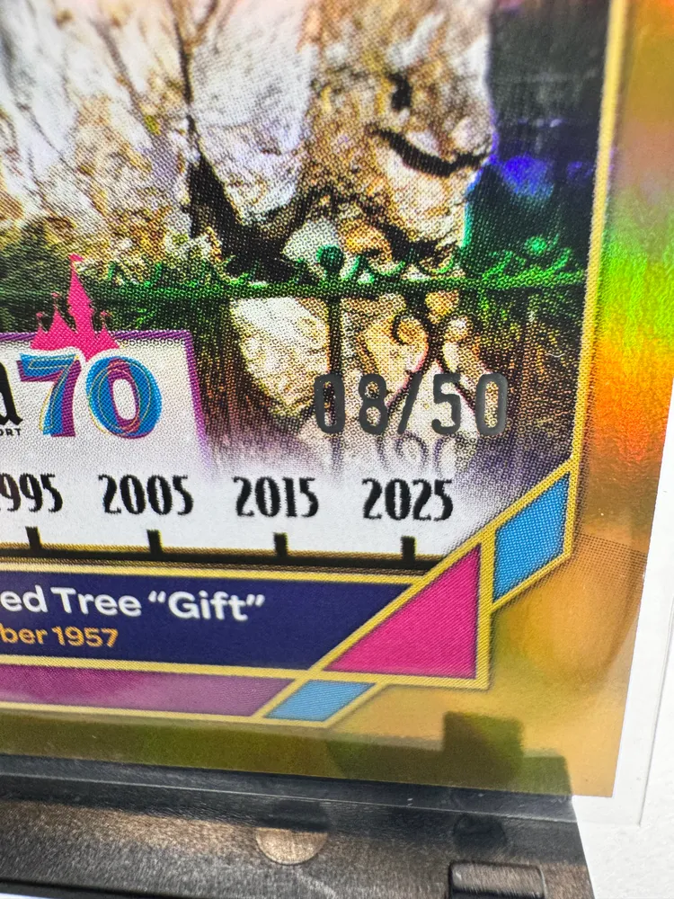 Disney, Lillian's Petrified Tree: 86 view 2