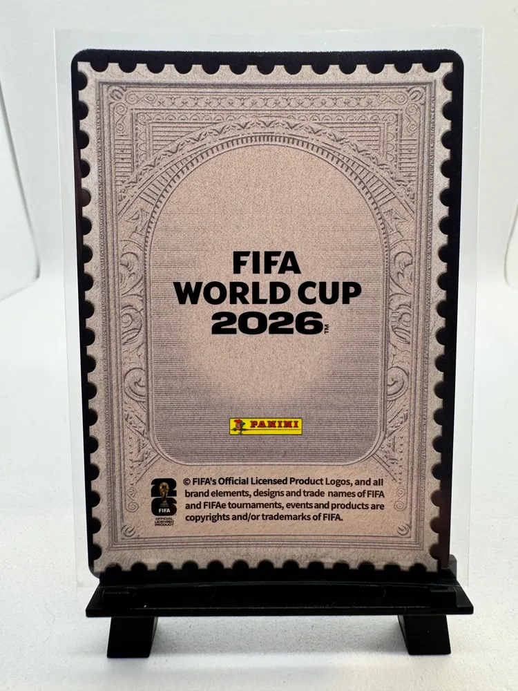 Soccer, Mike Maignan (France): 525 view 2