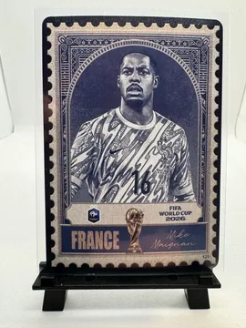 Soccer, Mike Maignan (France): 525