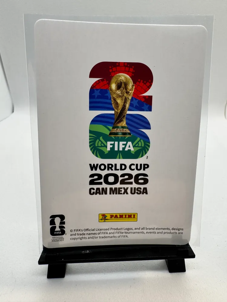 Soccer, Nikola Vasilj (Bosnia and Herzegovina): 505 view 2