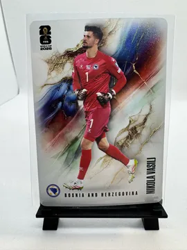 Soccer, Nikola Vasilj (Bosnia and Herzegovina): 505
