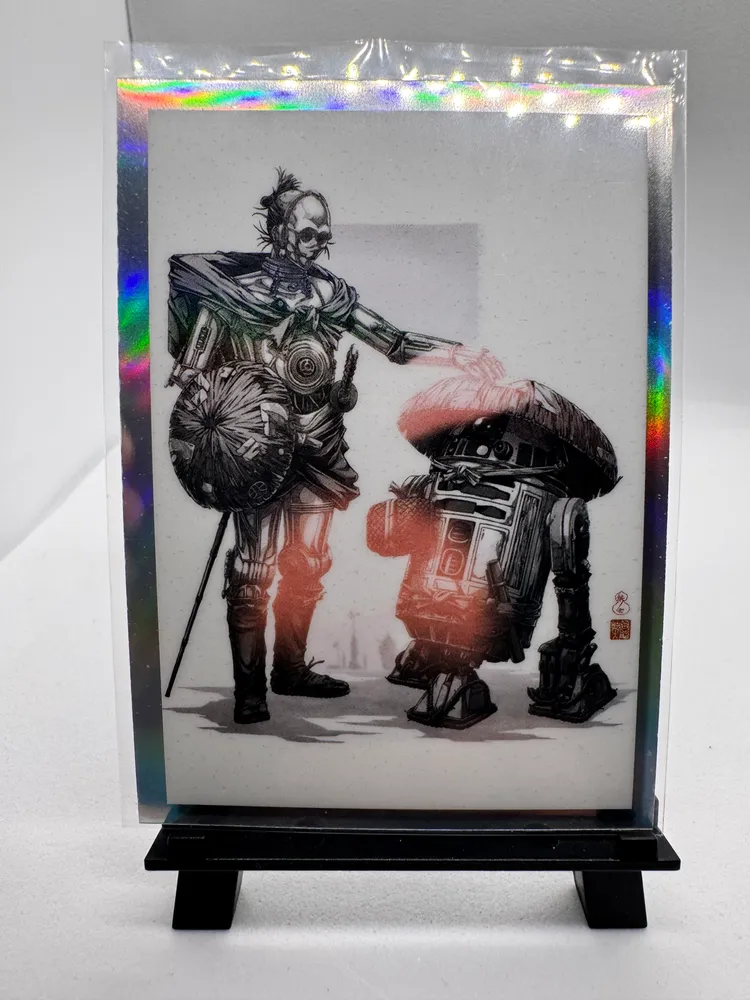 Star Wars, C-3PO and R2-D2: GV-17