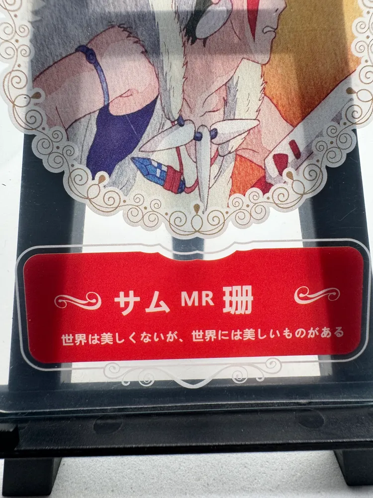 Studio Ghibli, San: MR view 2