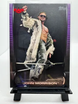 WWE, John Morrison: 13