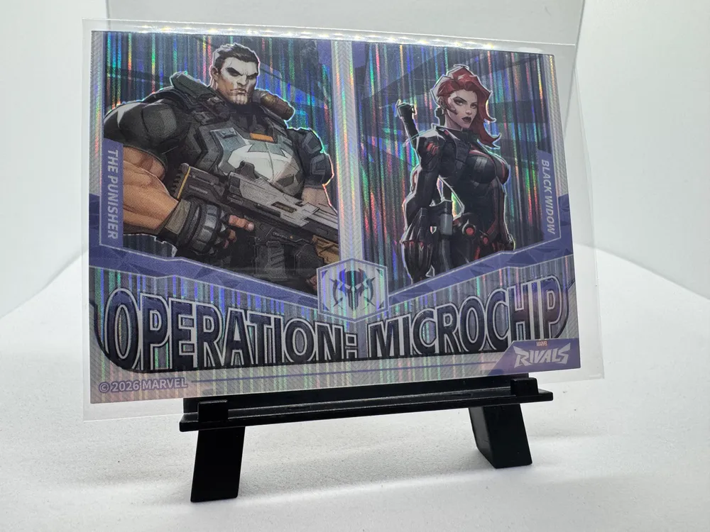 Marvel, The Punisher / Black Widow: MR-T-10