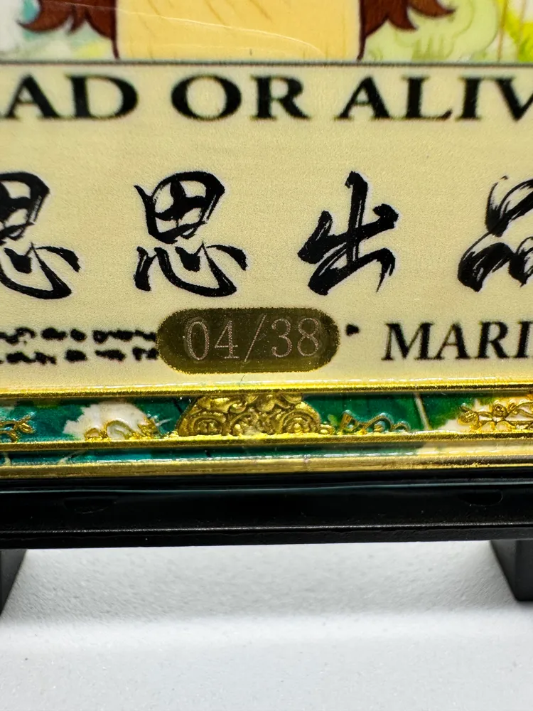 One Piece, Unconfirmed (dark-haired waifu - possibly Boa Hancock / Robin): SX-03 view 3