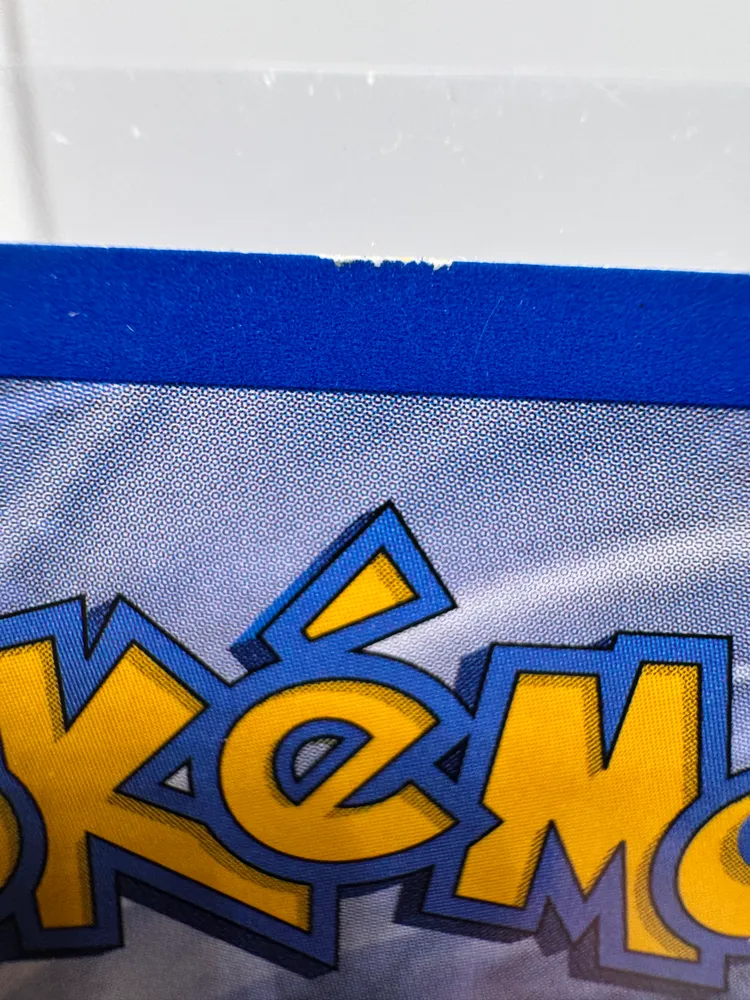 Pokemon, Raichu: 29/62 view 4