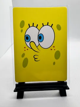 SpongeBob, SpongeBob SquarePants: SB02-FR-002