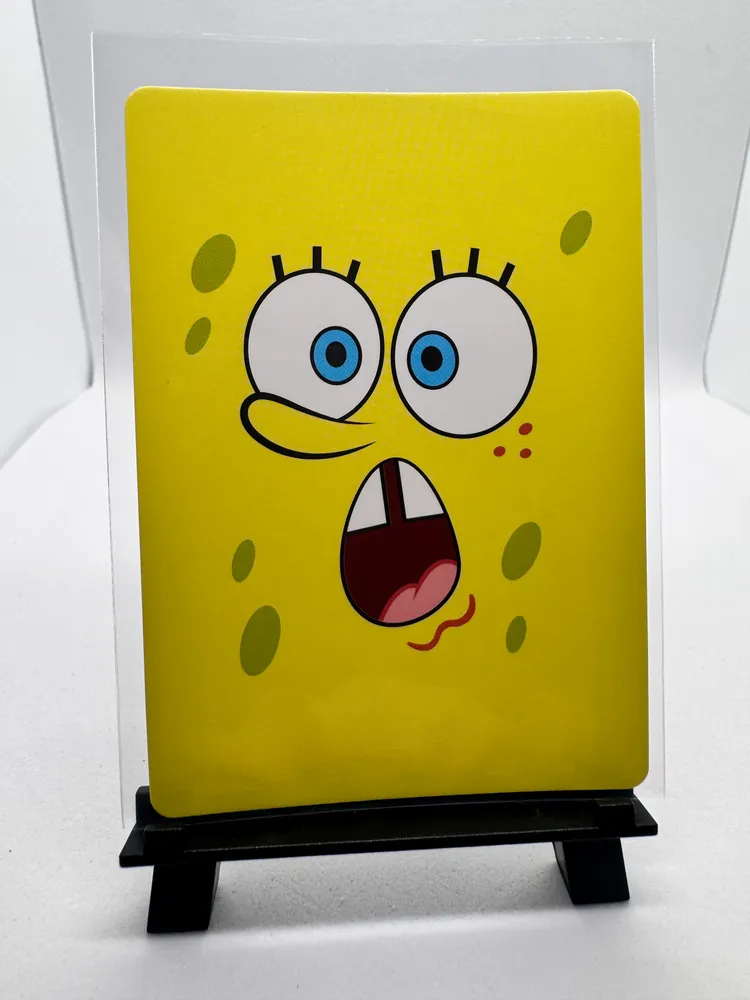 SpongeBob, SpongeBob SquarePants: SB02-FR-004