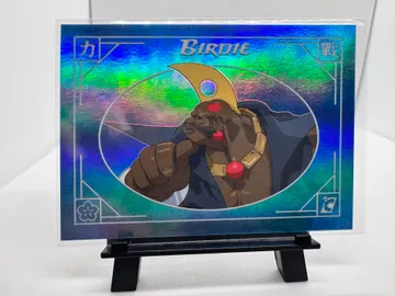 Street Fighter, Birdie: 06