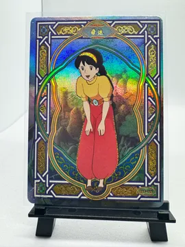 Studio Ghibli, Unidentified: SSR-008