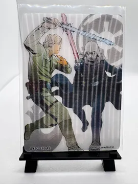 Star Wars, Luke Skywalker and Darth Vader: SW02-N048