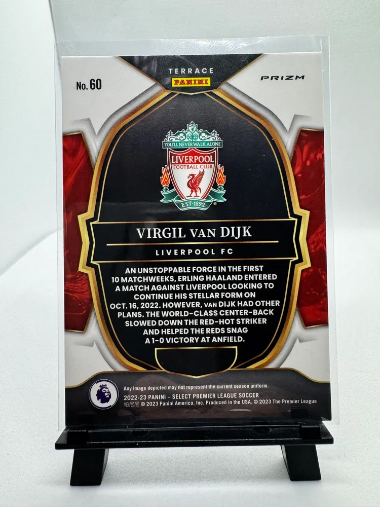 Premier League Soccer, Virgil van Dijk: 60 view 2