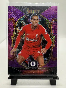 Premier League Soccer, Virgil van Dijk: 60