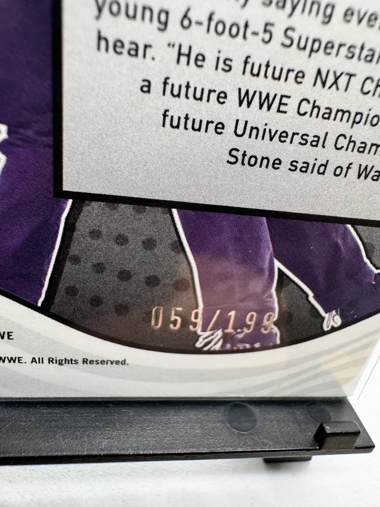 WWE, Von Wagner: 11 view 3