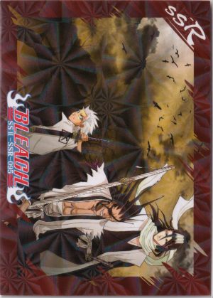SSII-SSR-095 a trading card from the Bleach 