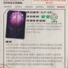 Camon SCP Foundation, SCP-001-18: YCSR1-ZR-019 - Image 2
